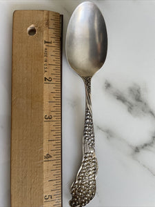 Rare Floral by Saart Brothers/SSMC 5 1/4" Sterling Silver Coffee Tea spoon  NM